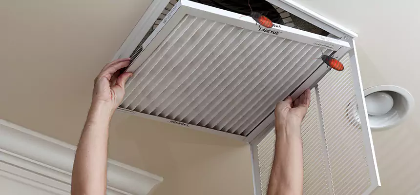 Preventive Cockroach-Proofing for Ducts in Laredo