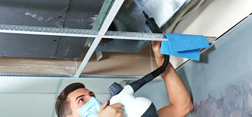 Our Air Duct Rodent Removal Services in Laredo, TX