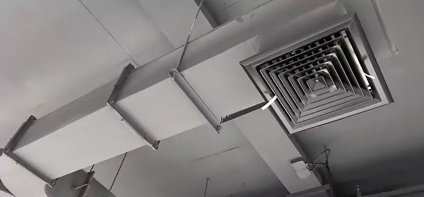 Restorative Allergy Relief Vent Cleaning – Coil, Blower & Housing Detail in Laredo