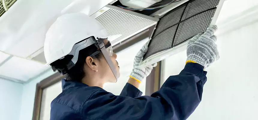 Our Mold & Mildew Removal from Air Ducts Services in Laredo, TX