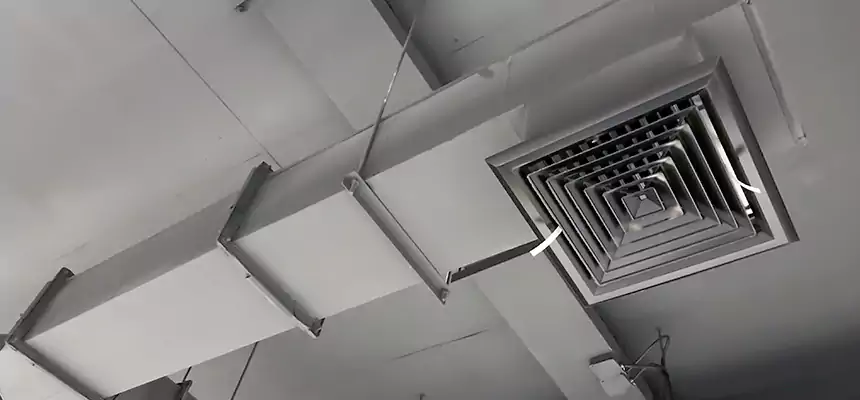 Our Rodent Droppings In Vents Services in Laredo, TX