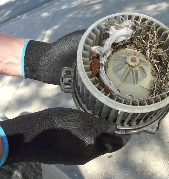 About Air Duct Rat Removal in Laredo, TX