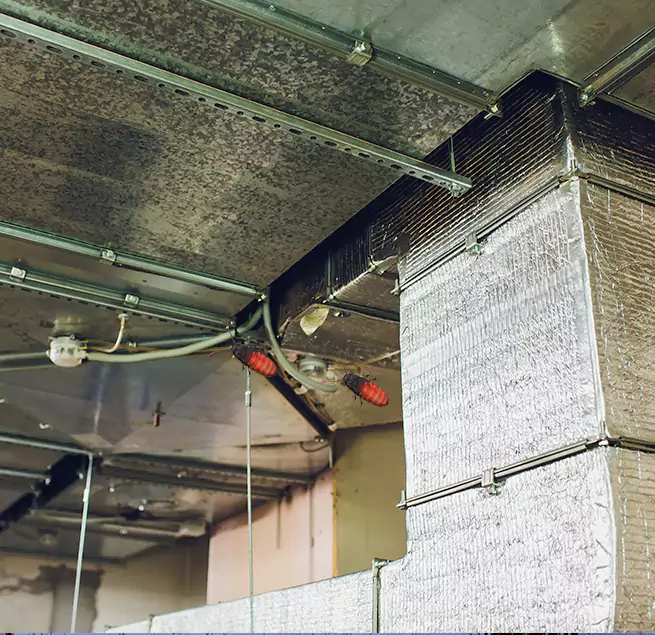 Why Homeowners & Businesses Trust Us in Laredo, TX?