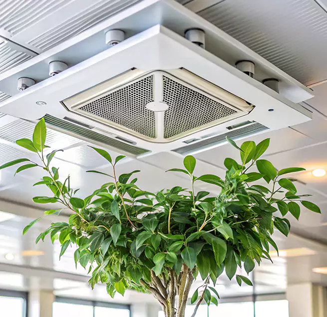 Why Homeowners & Businesses Trust Us in Laredo, TX?